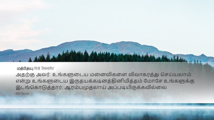 மத்தேயு 19:8 TAMIRV Bible Verse Image