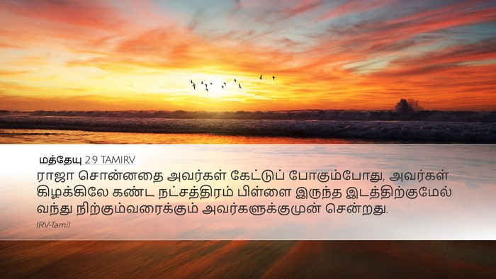 மத்தேயு 2:9 TAMIRV Bible Verse Image