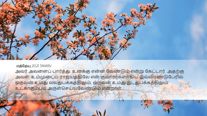 மத்தேயு 20:21 TAMIRV Bible Verse Image