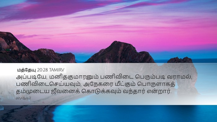 மத்தேயு 20:28 TAMIRV Bible Verse Image