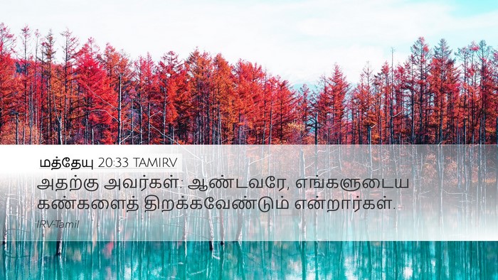 மத்தேயு 20:33 TAMIRV Desktop Wallpaper - அதற்கு அவர்கள்: - Desktop Bible Verse Wallpaper