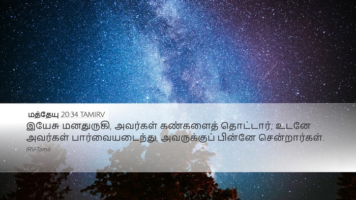 மத்தேயு 20:34 TAMIRV Bible Verse Image