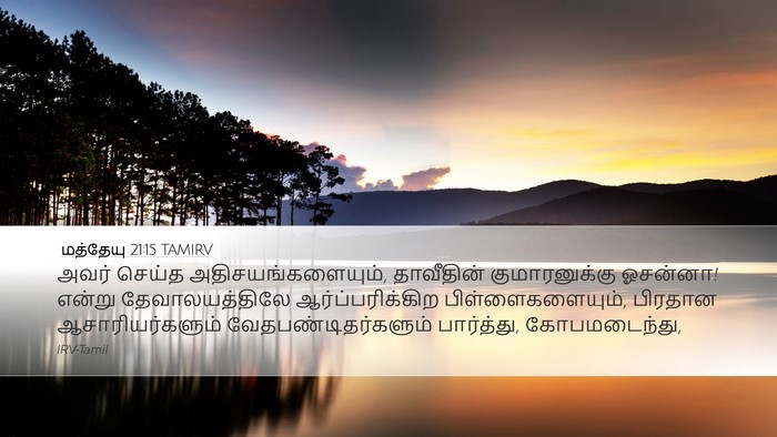 மத்தேயு 21:15 TAMIRV Bible Verse Image