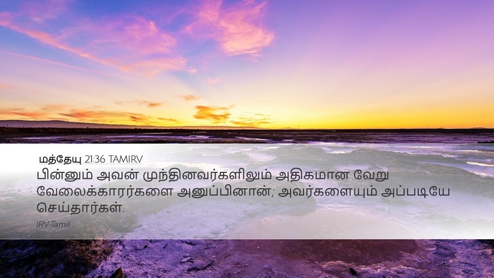 மத்தேயு 21:36 TAMIRV Desktop Wallpaper - பின்னும் அவன் - Desktop Bible Verse Wallpaper