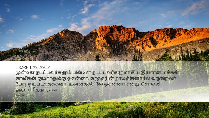 மத்தேயு 21:9 TAMIRV Bible Verse Image