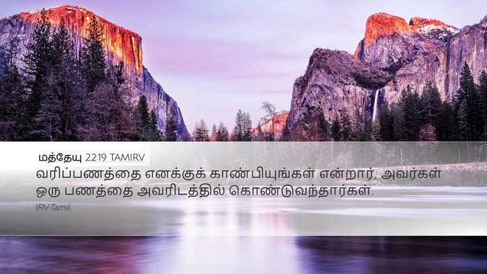 மத்தேயு 22:19 TAMIRV Bible Verse Image