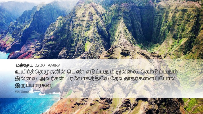 மத்தேயு 22:30 TAMIRV Bible Verse Image