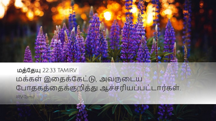 மத்தேயு 22:33 TAMIRV Bible Verse Image