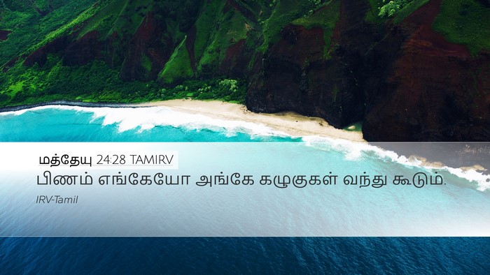 மத்தேயு 24:28 TAMIRV Bible Verse Image