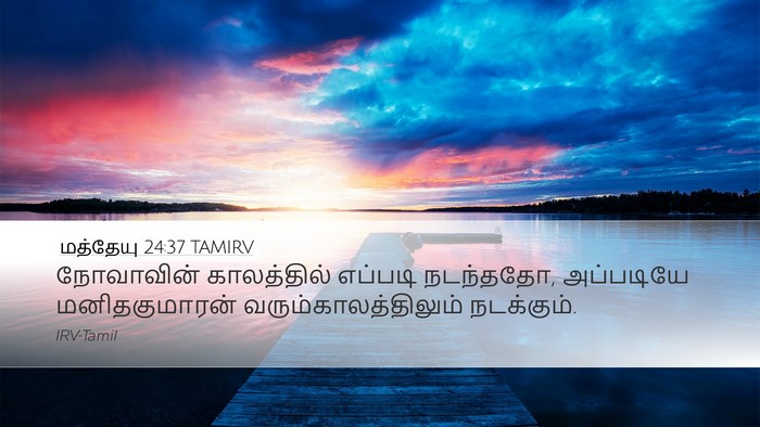 மத்தேயு 24:37 TAMIRV Bible Verse Image