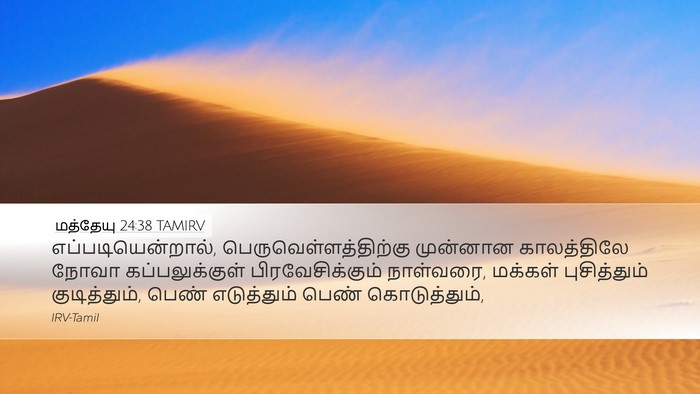 மத்தேயு 24:38 TAMIRV Desktop Wallpaper - எப்படியென்றால், - Desktop Bible Verse Wallpaper