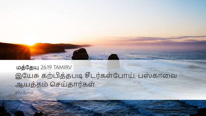 மத்தேயு 26:19 TAMIRV Bible Verse Image
