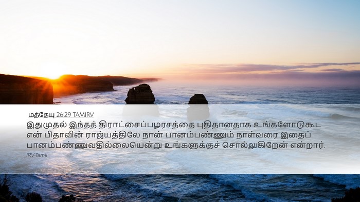 மத்தேயு 26:29 TAMIRV Desktop Wallpaper - இதுமுதல் இந்தத் - Desktop Bible Verse Wallpaper