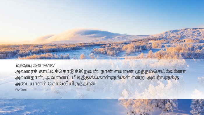 மத்தேயு 26:48 TAMIRV Desktop Wallpaper - அவரைக் - Desktop Bible Verse Wallpaper