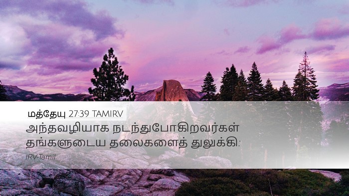 மத்தேயு 27:39 TAMIRV Desktop Wallpaper - அந்தவழியாக - Desktop Bible Verse Wallpaper