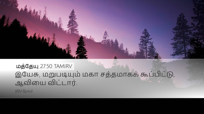 மத்தேயு 27:50 TAMIRV Desktop Wallpaper - இயேசு, மறுபடியும் - Desktop Bible Verse Wallpaper