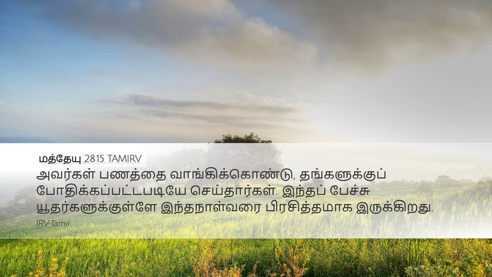மத்தேயு 28:15 TAMIRV Bible Verse Image