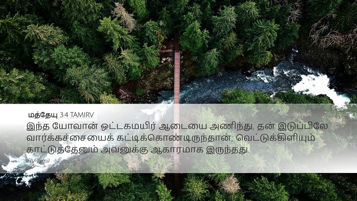 மத்தேயு 3:4 TAMIRV Bible Verse Image