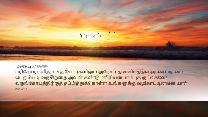 மத்தேயு 3:7 TAMIRV Bible Verse Image