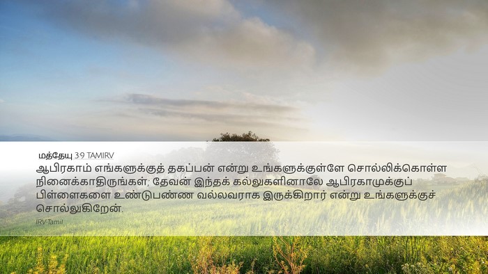 மத்தேயு 3:9 TAMIRV Bible Verse Image