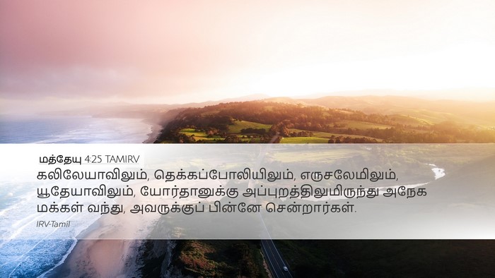 மத்தேயு 4:25 TAMIRV Bible Verse Image