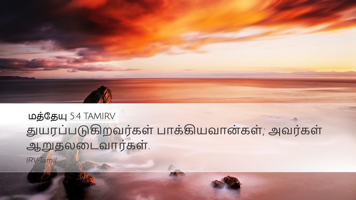 மத்தேயு 5:4 TAMIRV Bible Verse Image
