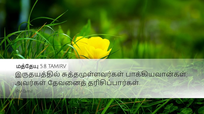 மத்தேயு 5:8 TAMIRV Desktop Wallpaper - இருதயத்தில் - Desktop Bible Verse Wallpaper