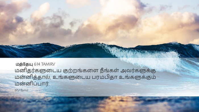 மத்தேயு 6:14 TAMIRV Bible Verse Image