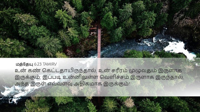 மத்தேயு 6:23 TAMIRV Bible Verse Image