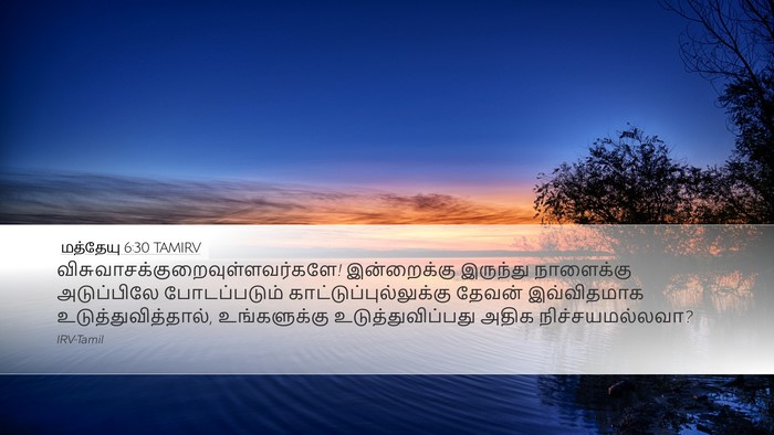 மத்தேயு 6:30 TAMIRV Desktop Wallpaper -  - Desktop Bible Verse Wallpaper