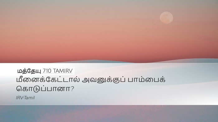 மத்தேயு 7:10 TAMIRV Desktop Wallpaper - மீனைக்கேட்டால் - Desktop Bible Verse Wallpaper