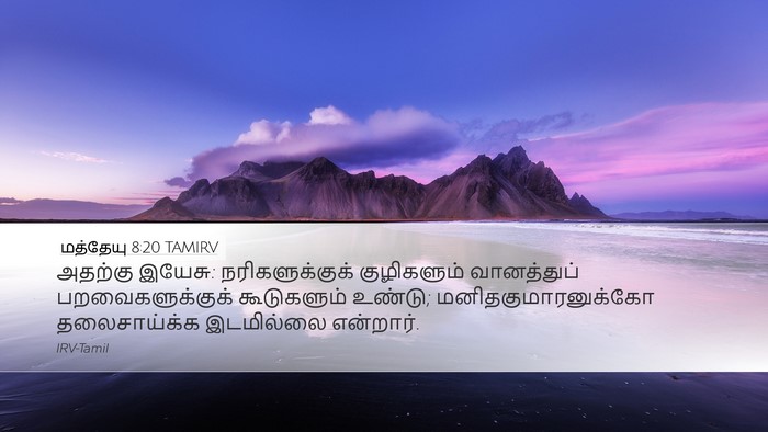 மத்தேயு 8:20 TAMIRV Bible Verse Image