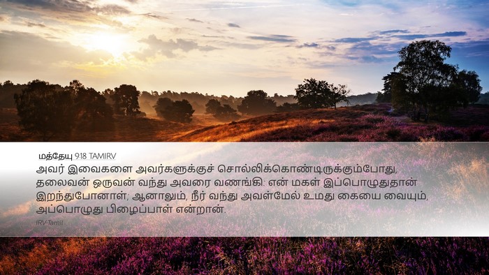 மத்தேயு 9:18 TAMIRV Bible Verse Image