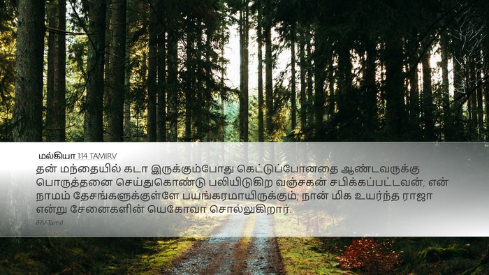 மல்கியா 1:14 TAMIRV Bible Verse Image
