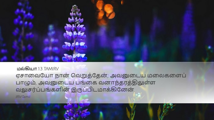மல்கியா 1:3 TAMIRV Bible Verse Image