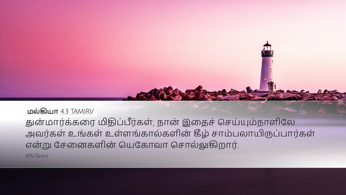 மல்கியா 4:3 TAMIRV Bible Verse Image