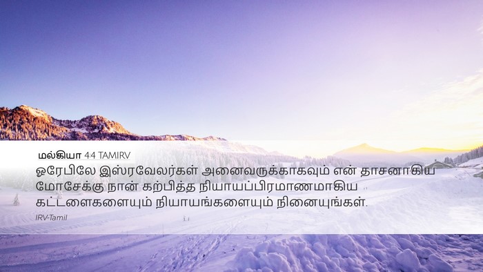 மல்கியா 4:4 TAMIRV Bible Verse Image