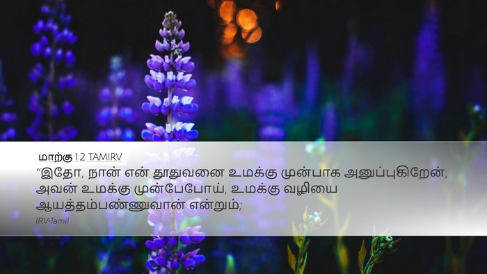 மாற்கு 1:2 TAMIRV Bible Verse Image