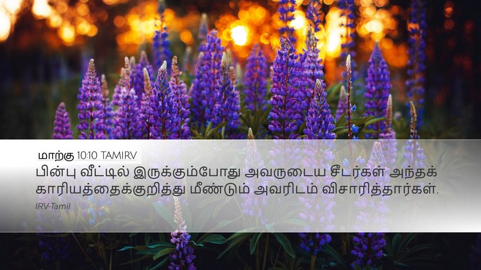 மாற்கு 10:10 TAMIRV Desktop Wallpaper - பின்பு வீட்டில் - Desktop Bible Verse Wallpaper