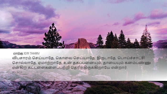 மாற்கு 10:19 TAMIRV Bible Verse Image