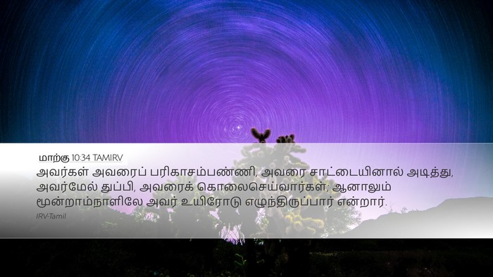 மாற்கு 10:34 TAMIRV Bible Verse Image