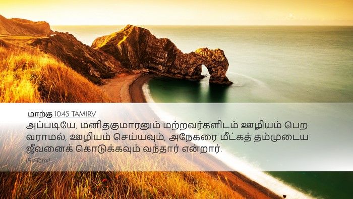 மாற்கு 10:45 TAMIRV Bible Verse Image