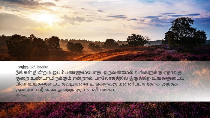 மாற்கு 11:25 TAMIRV Bible Verse Image
