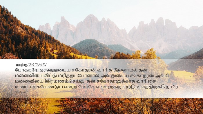 மாற்கு 12:19 TAMIRV Bible Verse Image