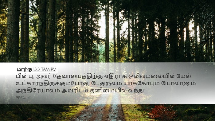 மாற்கு 13:3 TAMIRV Bible Verse Image