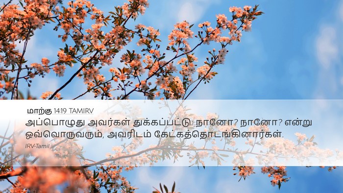 மாற்கு 14:19 TAMIRV Bible Verse Image