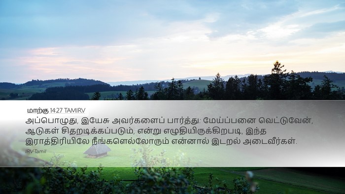 மாற்கு 14:27 TAMIRV Bible Verse Image