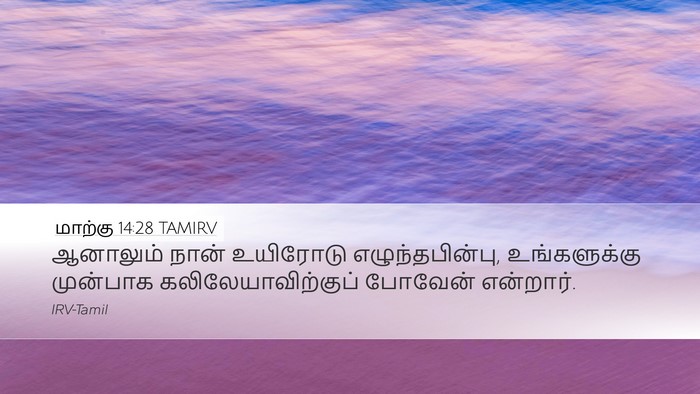 மாற்கு 14:28 TAMIRV Bible Verse Image