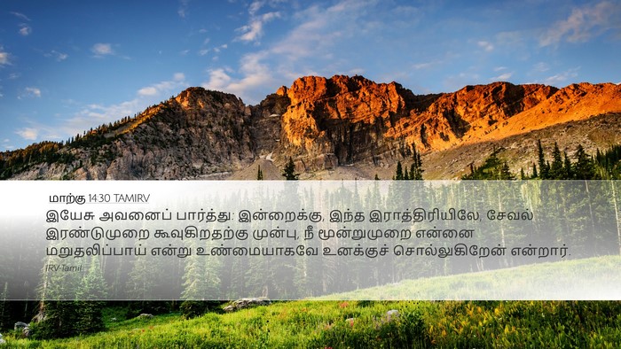 மாற்கு 14:30 TAMIRV Bible Verse Image