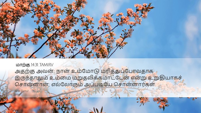 மாற்கு 14:31 TAMIRV Bible Verse Image